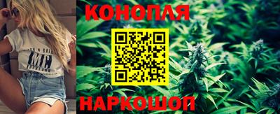 твердый Заводоуковск