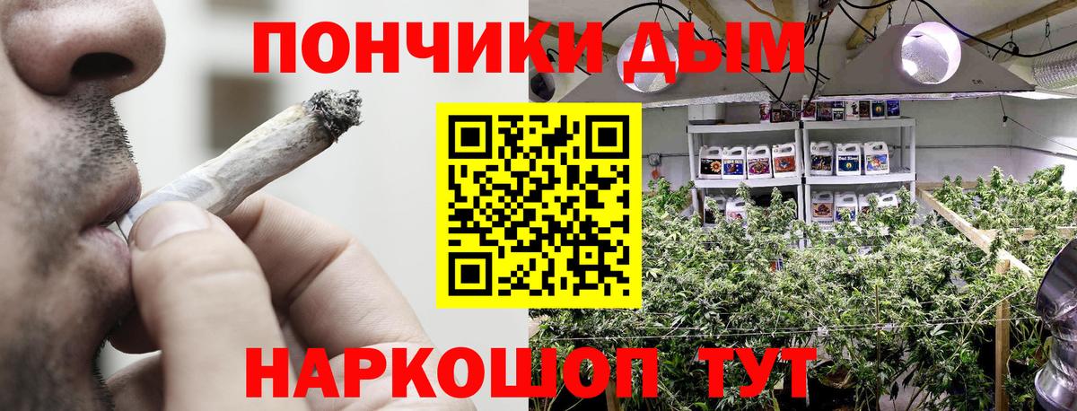 Марихуана Bruce Banner  Вход с VPN  Конопля планчик  Лабинск  Бошки марихуана VHQ 
